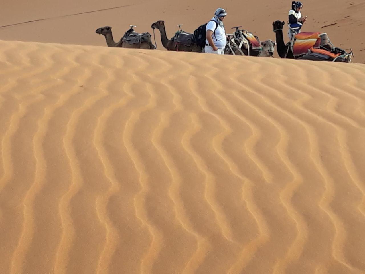 Ammar Luxury Camp 호텔 메르주가 객실 사진